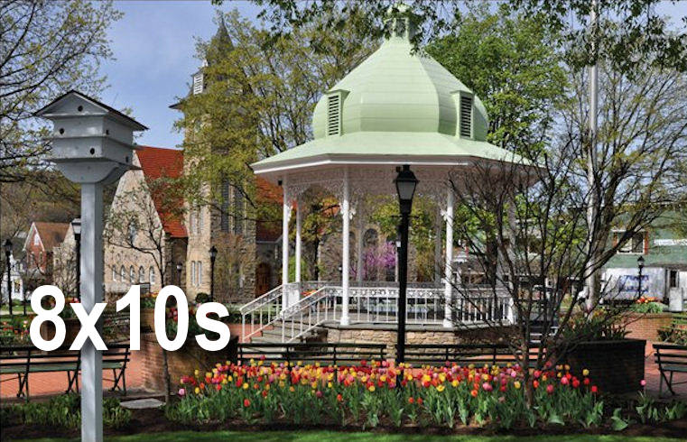 8x10 Photo Prints 8x10 Photo Prints